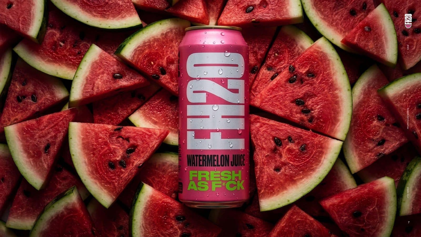 FH2O can resting on fresh watermelon slices